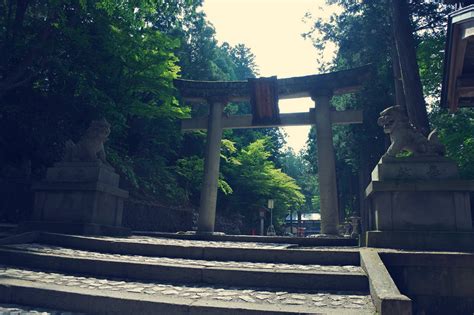 日枝神社 スピリチュアル - 神々の息吹と現代の癒し